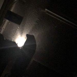 Meet your Posher, Sheila